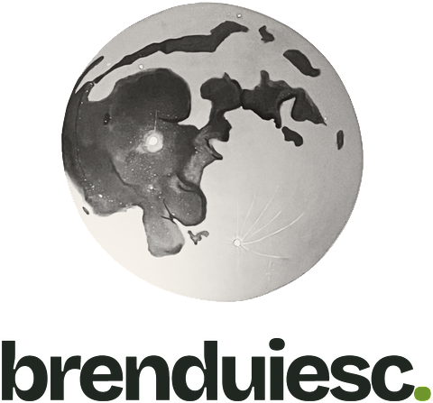 Brenduiesc — the Moon logo we designed